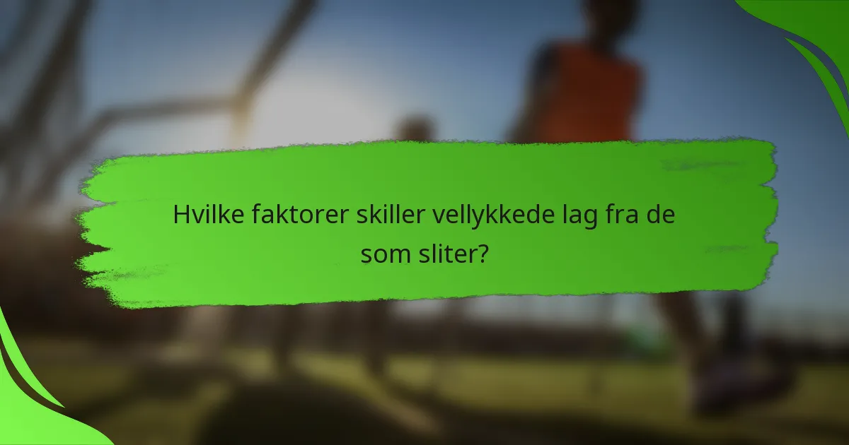 Hvilke faktorer skiller vellykkede lag fra de som sliter?